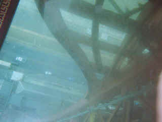 bp12.jpg (33460 bytes)