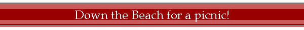 Down the Beach for a picnic!