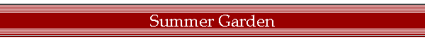 Summer Garden