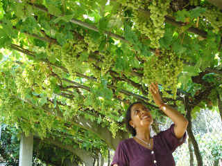 2005-08-25-50.jpg (105298 bytes)