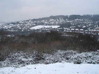 24feb2005-13.jpg (71463 bytes)