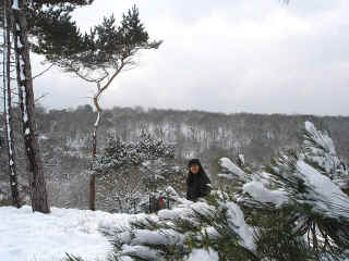 24feb2005-18.jpg (73417 bytes)