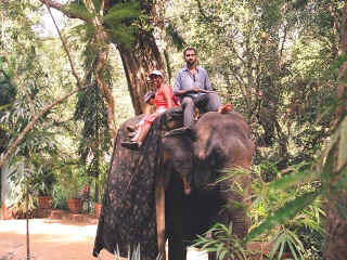 Dudhsagar-01.jpg (113967 bytes)