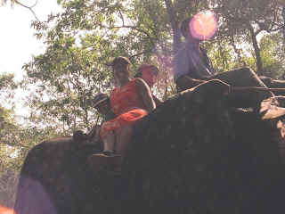 Dudhsagar-03.jpg (78815 bytes)