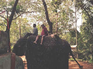 Dudhsagar-04.jpg (104457 bytes)