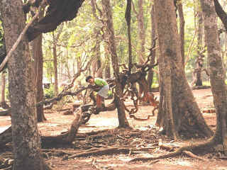 Dudhsagar-07.jpg (107849 bytes)