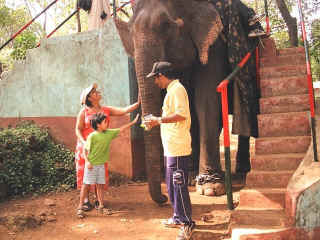 Dudhsagar-08.jpg (89154 bytes)