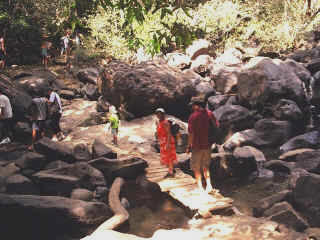 Dudhsagar-11.jpg (88969 bytes)