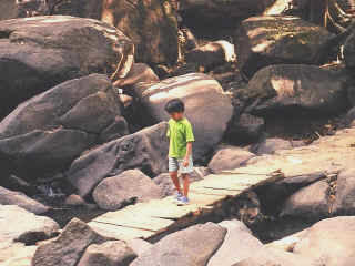 Dudhsagar-18.jpg (85237 bytes)