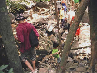 Dudhsagar-19.jpg (91272 bytes)