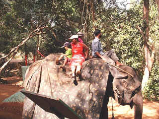 Dudhsagar-21.jpg (126725 bytes)