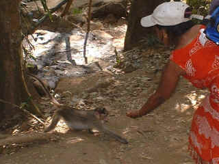 Goa-08.jpg (69332 bytes)