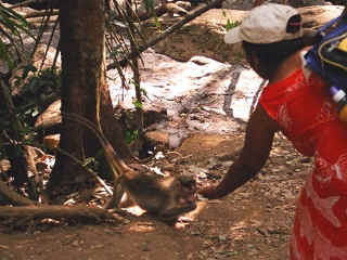 Goa-09.jpg (79364 bytes)