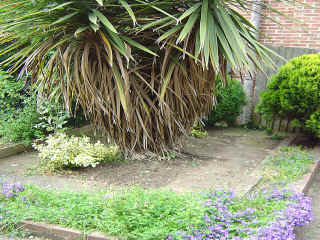 June2004-03.jpg (117435 bytes)