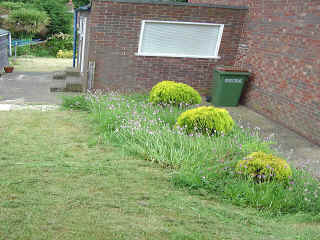 June2004-06.jpg (101507 bytes)