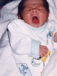 birth-10.jpg (39648 bytes)