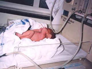 birth06.jpg (47247 bytes)