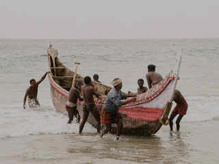 dakGoa-14.jpg (65583 bytes)