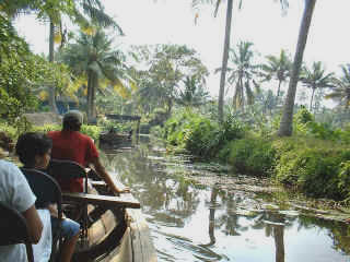 dakGoa-28.jpg (95824 bytes)