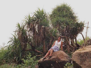 dakGoa-44.jpg (137571 bytes)