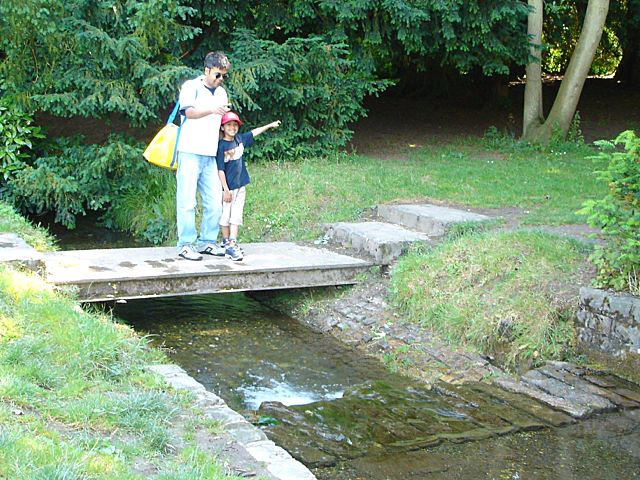 2005-07-10-03.jpg (99887 bytes)