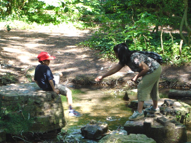 2005-07-10-13.jpg (143024 bytes)