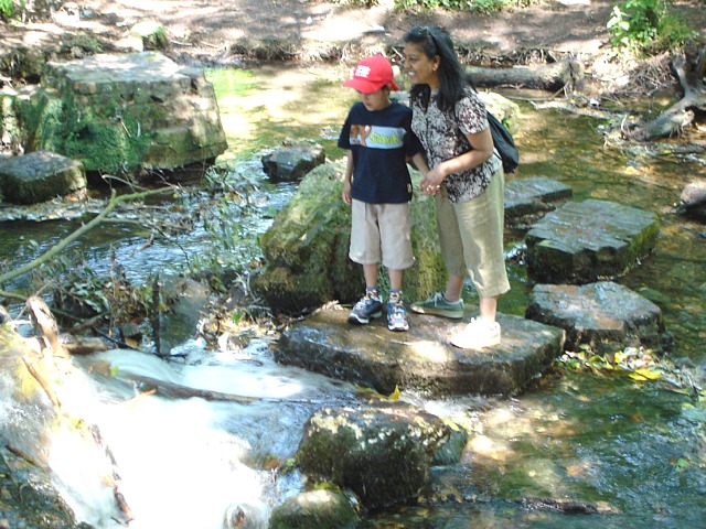 2005-07-10-14.jpg (146703 bytes)