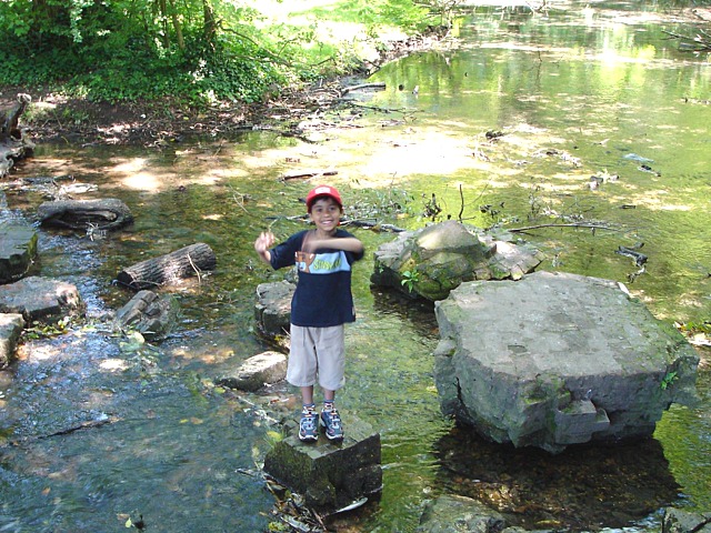 2005-07-10-16.jpg (165111 bytes)