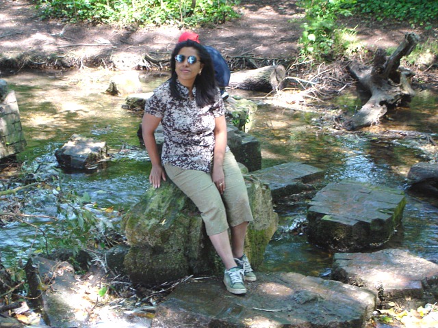 2005-07-10-17.jpg (155274 bytes)