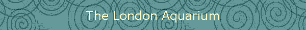 The London Aquarium