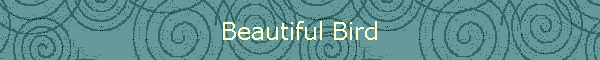 Beautiful Bird