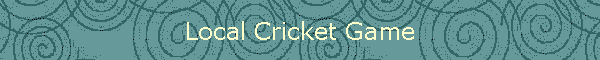 Local Cricket Game
