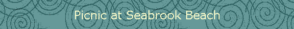 Picnic at Seabrook Beach