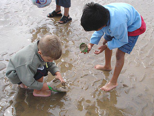 12Sept2004-30.jpg (64653 bytes)