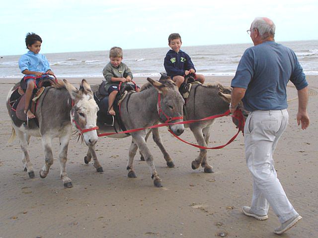 12Sept2004-34.jpg (50355 bytes)