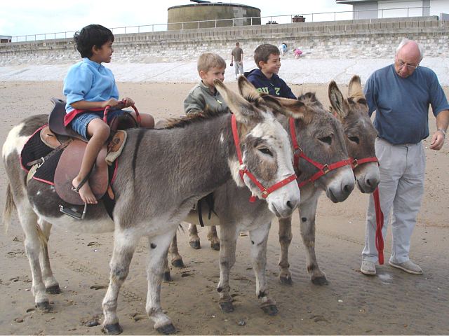 12Sept2004-38.jpg (65351 bytes)