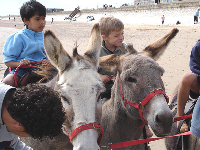 12Sept2004-41.jpg (69130 bytes)