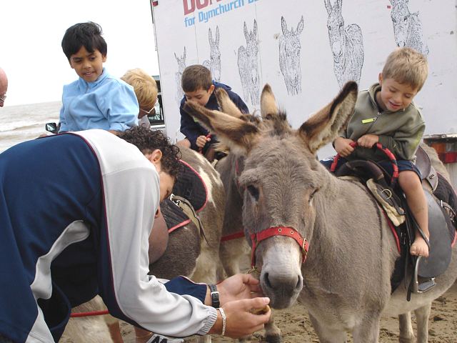 12Sept2004-43.jpg (59396 bytes)