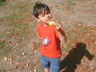 13Sept2003-01.jpg (93561 bytes)