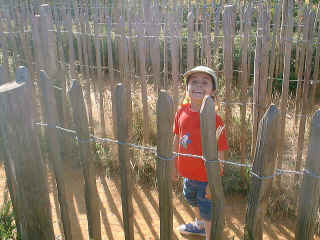 13Sept2003-13.jpg (85960 bytes)