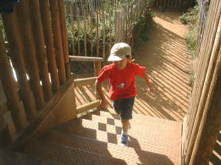 13Sept2003-15.jpg (73843 bytes)