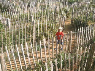 13Sept2003-16.jpg (126139 bytes)