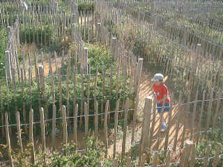 13Sept2003-17.jpg (114363 bytes)