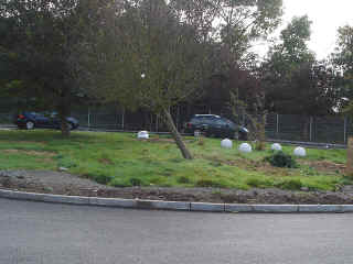 15Oct2004-14.jpg (76566 bytes)