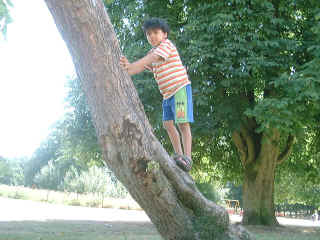 19July2003-04.jpg (82531 bytes)