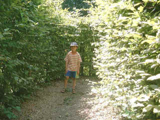 19July2003-09.jpg (111665 bytes)