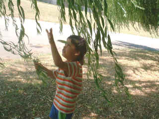 19July2003-15.jpg (89399 bytes)