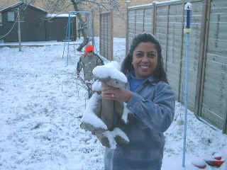 2004-01-29-3.jpg (75403 bytes)