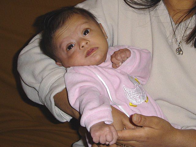 21Dec2004-04.jpg (45667 bytes)