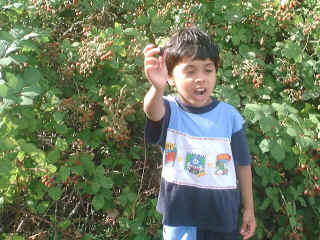 27July2003-08.jpg (94039 bytes)